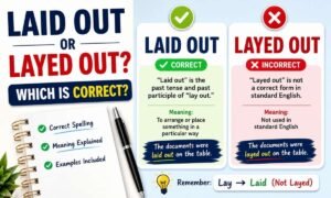 Laid Out or Layed Out: Which Is Correct? The Ultimate Guide