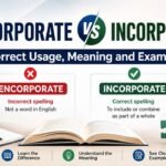Encorporate vs Incorporate: Correct Usage, Meaning and Examples